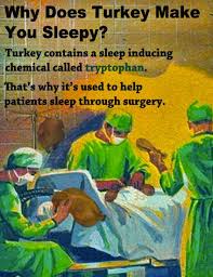 Why Does Turkey Make You Sleepy Sleepy How To Make Clean Jokes