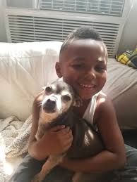 Needs a foster or forever home! Pets For Adoption At 510 Paws Rescue In Oakland Ca Petfinder