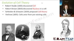We did not find results for: Biology Fundamental Unit Of Life Part 2 Cell Theory Evolution Cbse Class 9 Ix Youtube