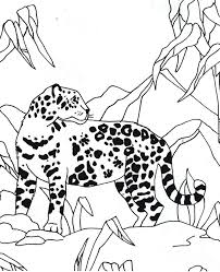 Ausmalbild Jaguar Tier Jaguar Tier Ausmalen Ausmalbilder