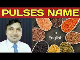 Pin On Pulses