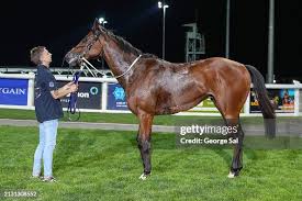 Image result for Handic 64