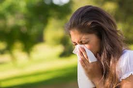 L'allergia alle graminacee è una reazione anomala ed esagerata del sistema immunitario indotta dall'inalazione dei granuli pollinici dispersi nell'ambiente. Allergia Graminacee Sintomi Diagnosi E Alimenti Da Evitare Insalute