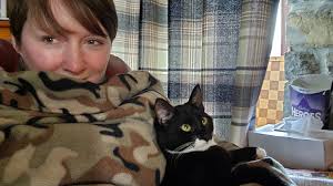 Has anyone seen a lost white cat with black tail and ear in the Friday  Harbor area?