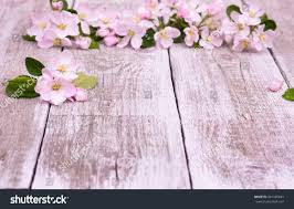 Illustration about rustic landscape with an old apple tree with flowers in full bloom. Flowers Apple Tree Blossoms On Rustic Wooden Royalty Free Stock Photo 431485843 Avopix Com