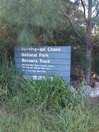 The pink lady brand was the first apple with a trademark and is the only truly pink apple on the market! Berowra To Apple Tree Bay Nsw Australia 5 03 16 Solo Hiker
