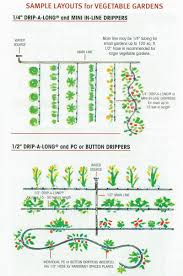 Watering Layout Drip Irrigation Garden Irrigation Garden Irrigation System