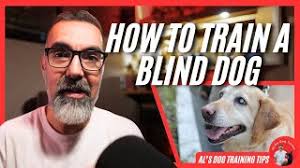 Al's Dog Training Tips