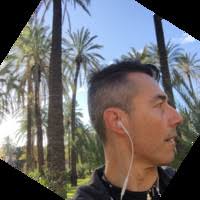 Maurizio Veronese Email & Phone Number