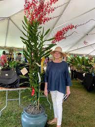 17899 sw 280th st, homestead, fl 33031. A Busy Day In Florida The Martha Stewart Blog
