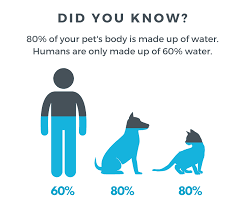 Pet grooming in sarasota, fl. Gulf Coast Pet Supplies Gulfcoastpets Twitter