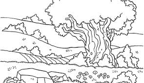 Berbeda dengan zodiak, shio merupakan ramalan dari kepercayaan orang china, yang dibedakan kali ini, shio yang akan dibahas adalah shio kerbau. Gambar Sketsa Sawah