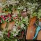 Dried Flower Wreath Making at Wrenn’s Farm - Wrenn's Farm, 5078 Brantley Rd Event Image