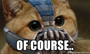 Check spelling or type a new query. Of Course Bane Cat Meme Generator