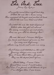 Ivy Lane Oak Tree Tree Poem Oak Tree Tree Quotes