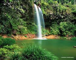 Ia disusun berdasarkan sembilan zon bagi seluruh negeri sarawak yang meliputi limbang, lawas, sundar, trusan, miri, niah, bekenu, sibuti. Lambir Hills National Park In Miri Sarawak Malaysia