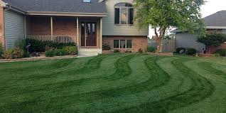 The first thing to do in this lawn striping process is to mow your lawn, and when you are doing this you should be cutting it. Learn How To Mow Stripes In Your Lawn