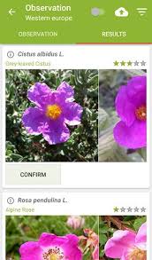 Download the official plant diseases apk (latest version) for android devices. Plantnet Plant Identification Apk Download For Android