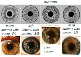 iris color chart 13