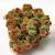 Alien Dream Weed