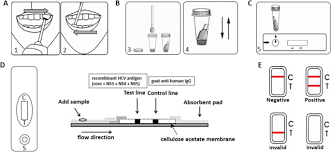 The test is intended for use as an aid in the diagnosis of hcv infection in the following populations: Evaluation Of A New Point Of Care Oral Anti Hcv Test For Screening Of Hepatitis C Virus Infection Virology Journal Full Text