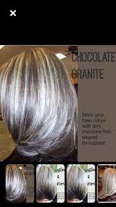 Untitled Gray Hair Highlights Grey Hair Transformation Blending Gray Hair