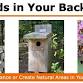 Woods in Your Backyard event image