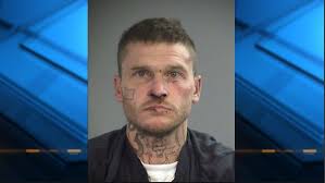 Deputies: Felon crashes, pulls gun, resists arrest