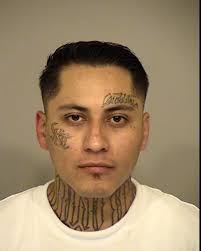 Ventura police arrest wanted subject after pursuit