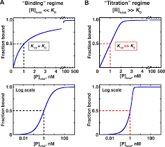 Circles, squares, pi & 78.5%. How To Measure And Evaluate Binding Affinities Elife