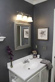 Tiles For Miles Our Guest Bath Remodel Gray Bathroom Decor Small Dark Bathroom Purple Bathrooms