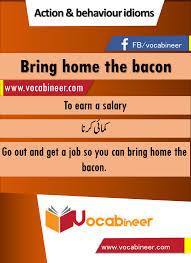 Bring Home The Bacon Idiom With Hindi And Urdu Meanings And Sentence Download Pdf Idioms Behavior Sentences