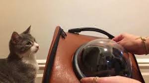 Hbuir innovative diamond traveler pet carrier. How To Install The Bubble Capsule On Your Cat Backpack Space Backpack Youtube