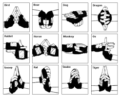 An Angel In The Dark Naruto Fanfiction On Hold Editing Konoha Naruto Naruto Kakashi Naruto Uzumaki