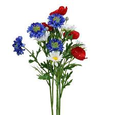 Scegli i fiori più adatti ad ogni occasione e compra online! Mazzo Di Fiori Di Campo 55 Cm 43302 33 Acquista A Buon Mercato Online