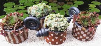 Pflanztopfe Von Margit Hohenberger Gartenkeramik Mit Bildern Pflanzen Gartenkeramik Keramik