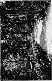 Image From Page 32 Of The First County Park System A Com Flickr