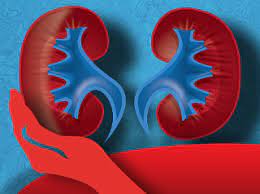 Analiza creatinina serica si urinara. Analize De Sange Si Urina Sange Blog