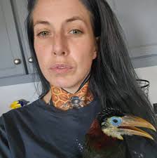 What type of bird is this baby bird found in the chicken coop?