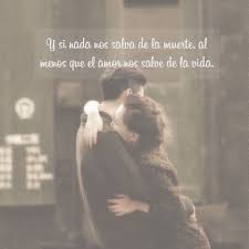 Imagenes De Enamorados Con Frases De Amor 7 Imagenes De Enamorados Frases De Amor Frases De Pareja
