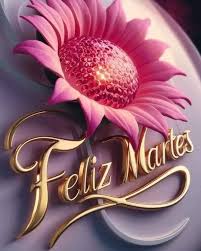 Diariamente | Feliz #Martes | Instagram