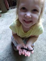 Is this a salamander. Eastern nc