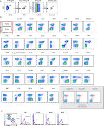Gather a large train/herd of zombies and intentionally try to get the other members in you can only kill zombies by shooting them in the head, for every zombie not killed this way, hit better bring your swimming suit: Phenotypic Analysis Of The Unstimulated In Vivo Hiv Cd4 T Cell Reservoir Elife
