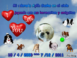 Maybe you would like to learn more about one of these? Te Extrano Mucho Mi Vida Mi Hijita Querida Picmix