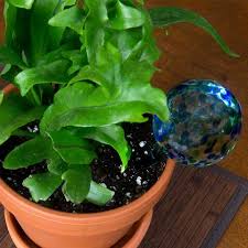 If road access to your site is tight, then please advise us before. Evelots Watering Globes Bulbs Automatic Plant Self Watering Large