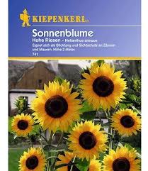 Baza Seeds Mini Garten Bio Calendula Essbare Blume 1 Komplett Set Sonnenblumen Essbare Blumen Mini Garten