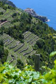 Cinque Terre Cinque Terre Italy Cinque Terre Italy Travel