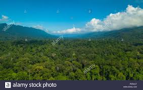Lawrence alan bansa, qhairil shyamri rosli, ummu safiyyah daud, amirrah amat, muhd amsyari morni, julius william dee, emy ritta jinggong, praveena rajasegaran, juliana senawi, jayaraj vijaya kumaran, isham azhar. Eine Breite Antenne Drone Foto Oben Tropischen Regenwald Mit Steilen Bergrucken Auf Der Linken Und Rechten Imbak Canyon Conservation Area Sabah Malaysia Stockfotografie Alamy