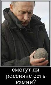 Во время прямой линии президенту россии владимиру путину показали мем о ценах на бензин. Gde Vpervye Byl Zamechen Mem Mogut Li Kamni Plotit Nalogi I Otkuda Ta Fotografiya S Vvp Yandeks Kyu