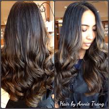 Annie Trang Stylist Yelp Black Hair Balayage Balayage Hair Balayage Hair Dark